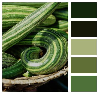 Stripe Green Cucumber Image