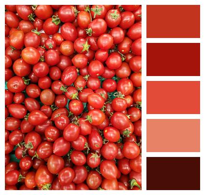 Vegetable Red Tomato Image