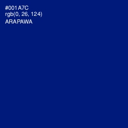 #001A7C - Arapawa Color Image