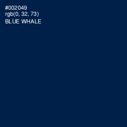#002049 - Blue Whale Color Image