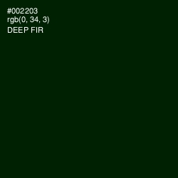 #002203 - Deep Fir Color Image