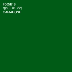 #005B16 - Camarone Color Image