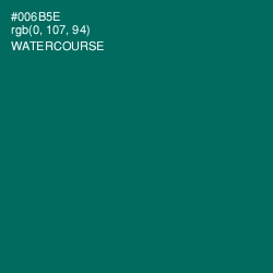 #006B5E - Watercourse Color Image