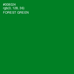 #008024 - Forest Green Color Image