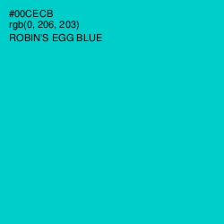 #00CECB - Robin's Egg Blue Color Image