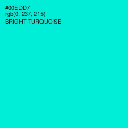 #00EDD7 - Bright Turquoise Color Image