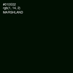 #010E02 - Marshland Color Image