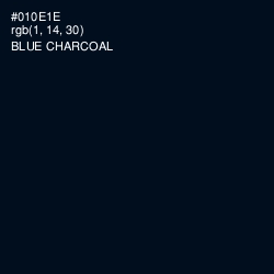 #010E1E - Blue Charcoal Color Image