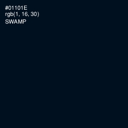 #01101E - Swamp Color Image