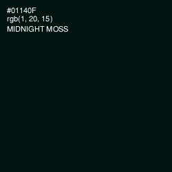 #01140F - Midnight Moss Color Image