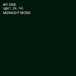 #01180E - Midnight Moss Color Image