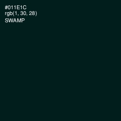 #011E1C - Swamp Color Image