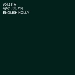 #01211A - English Holly Color Image