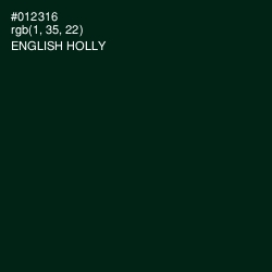 #012316 - English Holly Color Image