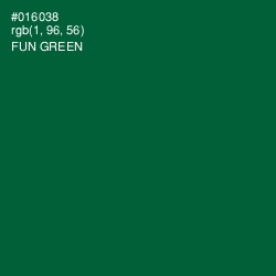 #016038 - Fun Green Color Image