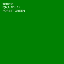 #018101 - Forest Green Color Image