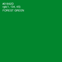 #01862D - Forest Green Color Image