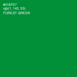 #018F37 - Forest Green Color Image