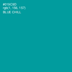 #019C9D - Blue Chill Color Image
