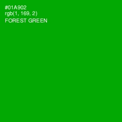 #01A902 - Forest Green Color Image