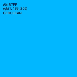 #01B7FF - Cerulean Color Image