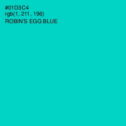 #01D3C4 - Robin's Egg Blue Color Image
