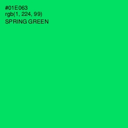 #01E063 - Spring Green Color Image