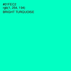 #01FEC2 - Bright Turquoise Color Image
