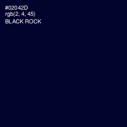 #02042D - Black Rock Color Image