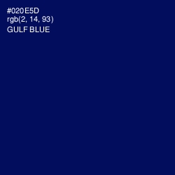#020E5D - Gulf Blue Color Image