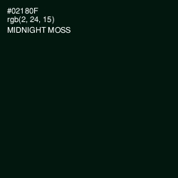 #02180F - Midnight Moss Color Image