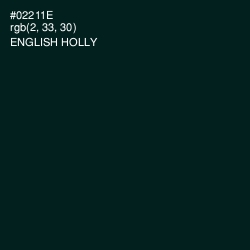 #02211E - English Holly Color Image