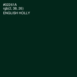 #02261A - English Holly Color Image