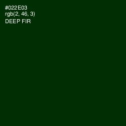 #022E03 - Deep Fir Color Image