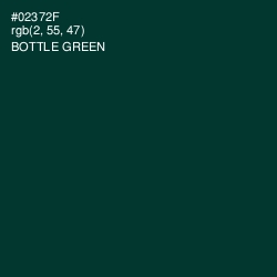 #02372F - Bottle Green Color Image