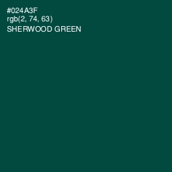 #024A3F - Sherwood Green Color Image