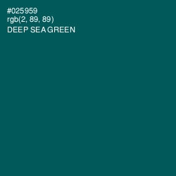 #025959 - Deep Sea Green Color Image