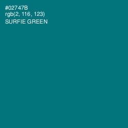 #02747B - Surfie Green Color Image