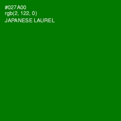 #027A00 - Japanese Laurel Color Image