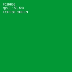 #029836 - Forest Green Color Image