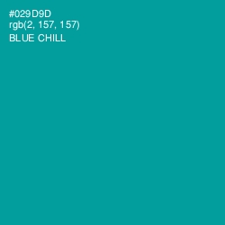 #029D9D - Blue Chill Color Image