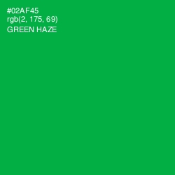 #02AF45 - Green Haze Color Image
