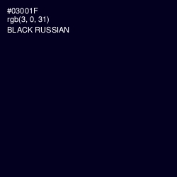 #03001F - Black Russian Color Image