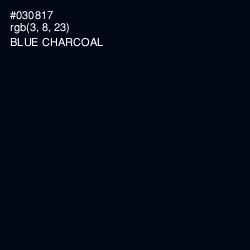 #030817 - Blue Charcoal Color Image