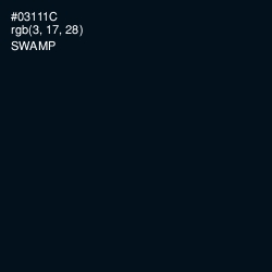 #03111C - Swamp Color Image