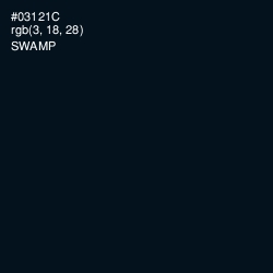 #03121C - Swamp Color Image
