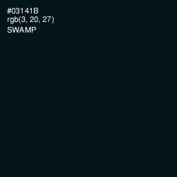 #03141B - Swamp Color Image