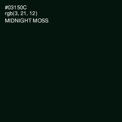 #03150C - Midnight Moss Color Image