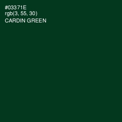 #03371E - Cardin Green Color Image