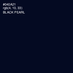 #040A21 - Black Pearl Color Image